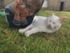 Evan-et-son-chat