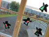 IMG_20211202_165240