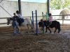 IMG_20240411_135537
