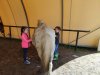 IMG_20240411_142912