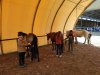 IMG_20240411_143340