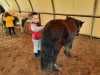 IMG-20240411-WA0032