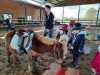IMG-20240411-WA0036