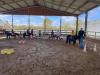 IMG-20240412-WA0003
