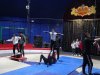 DSC02910