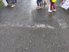 IMG_20201217_142641