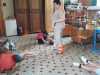 IMG-20250602-WA0008