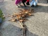 IMG-20251109-WA0015