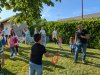 PXL_20250523_164619741