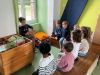 IMG-20250606-WA0010