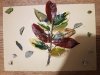 les-couleurs-du-printemps-Lohane