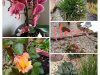 IMG_20200503_113436