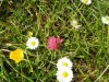 IMG_20200503_172715