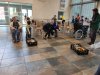 IMG_20240404_141847