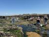 IMG-20250630-WA0047