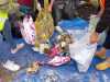 IMG-20231013-WA0044