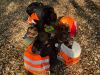 IMG-20260509-WA0001