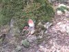 IMG_20230613_144813