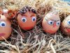 famille-Carlier