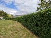 IMG_20200829_121103